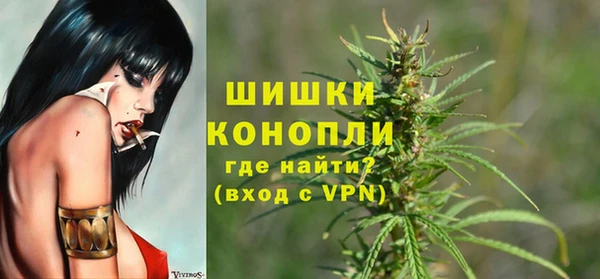 ГАЛЛЮЦИНОГЕННЫЕ ГРИБЫ Абаза