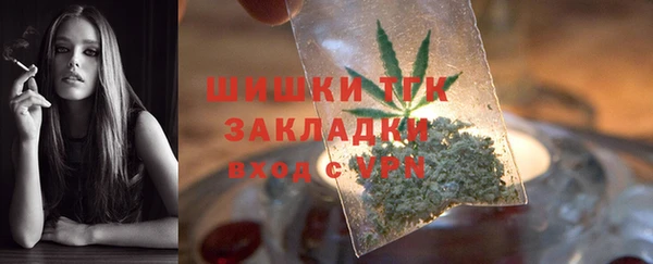 тгк Алзамай