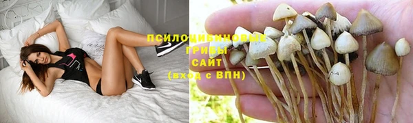 сатива Алексин