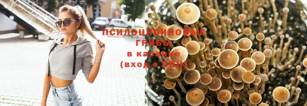 трава Абдулино
