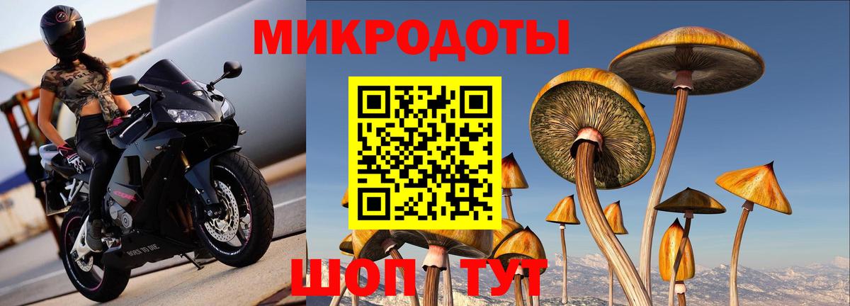 Псилоцибиновые грибы ЛСД Всеволожск